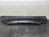 Front bumper lower grill