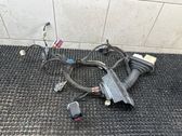 Front door wiring loom