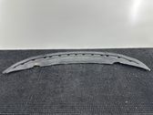 Front bumper lip