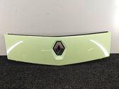 Front grill