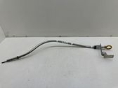 Oil level dip stick