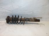 Front shock absorber with coil spring
