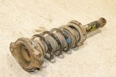 Rear shock absorber with coil spring