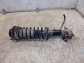 Front shock absorber with coil spring