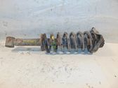 Amortiguador trasero con muelle espiral
