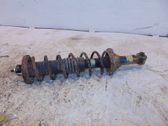 Rear shock absorber with coil spring