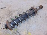 Rear shock absorber with coil spring