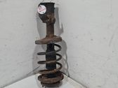 Front shock absorber with coil spring