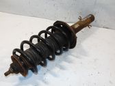 Front shock absorber with coil spring