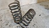 Rear coil spring