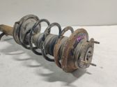 Front shock absorber with coil spring