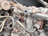 Inyector de combustible