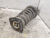 Rear shock absorber with coil spring