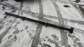 Drive shaft (set)