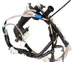 Rear door wiring loom