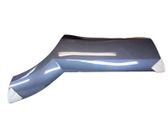 Rear door trim (molding)