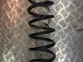 Rear coil spring
