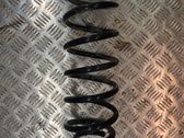 Rear coil spring