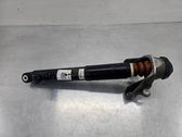 Rear shock absorber/damper