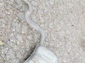 Schalldämpfer Auspuff