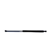 Tailgate/trunk strut/damper