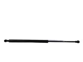 Front bonnet/hood damper/strut