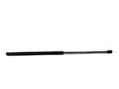 Tailgate/trunk strut/damper