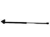 Tailgate/trunk strut/damper