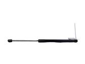Tailgate/trunk strut/damper