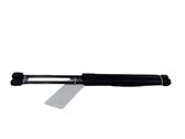 Tailgate/trunk strut/damper