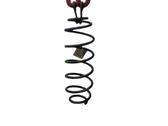 Rear coil spring