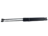 Tailgate/trunk strut/damper