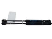 Tailgate/trunk strut/damper