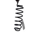 Rear coil spring