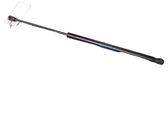 Tailgate/trunk strut/damper