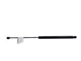 Tailgate/trunk strut/damper
