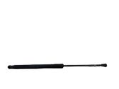 Tailgate/trunk strut/damper