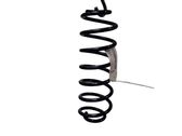 Rear coil spring
