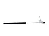 Front bonnet/hood damper/strut