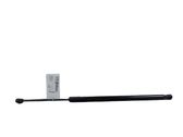 Tailgate/trunk strut/damper