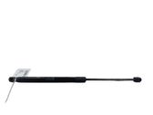 Tailgate/trunk strut/damper