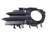 Front fog light trim/grill