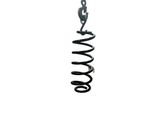Rear coil spring