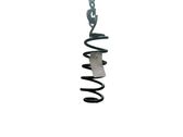 Rear coil spring