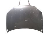Motorhaube