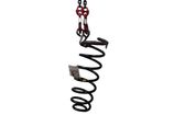 Rear coil spring