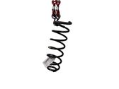 Rear coil spring