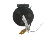 Klimakompressor Pumpe