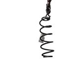 Rear coil spring