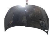 Motorhaube